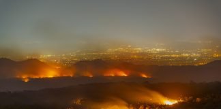 CALOR EXTREMO GENERA OLEADA DE INCENDIOS FORESTALES EN CUATRO CONTINENTES