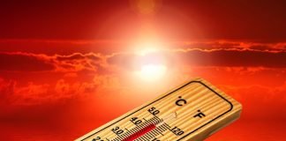 CALOR EXTREMO EN CALIFORNIA OBLIGA A TOMAR MEDIDAS