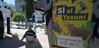 Ecuador vota a favor de detener la explotación petrolera en una de las zonas de mayor biodiversidad del planeta