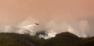 INCENDIO EN TENERIFE LLEVA 13 MIL HECTAREAS ARRASADAS