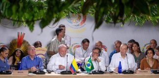 CUMBRE DE LA AMAZONIA PROPONE DEFORESTACION CERO