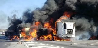 SIETE MUERTES EN CHOQUE DE CAMIONES EN BRASIL