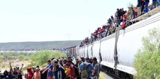 CIFRAS RECORD DE MIGRANTES EN TREN DE MEXICO A EEUU