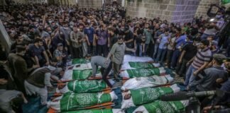 PASA DE 8 MIL LA CIFRA DE MUERTOS PALESTINOS EN GAZA