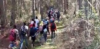 CERCA DE 400 HAITIANOS PENETRAN A RD POR LOMA DEL TORO EN BAHORUCO