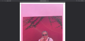 Color magenta, de Miriam Mejía Campos