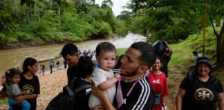 Más de 300.000 migrantes cruzaron el Tapón de Darién en 2024, una cifra 42% menor al 2023