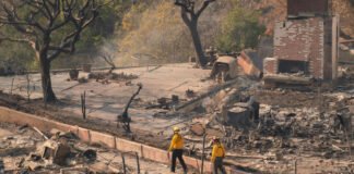 Incendios en California: una emergencia climática en un nuevo contexto político