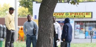 Canadá: inquietud por la moratoria de dos programas de inmigración permanente