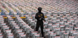 Ministerio Público pone en marcha, junto a la DNCD y con apoyo de la DEA, la Operación Panthera 7 contra red criminal a la que ocupó 9,889 kilos de cocaína