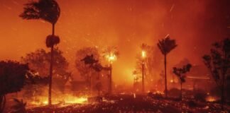 Cóctel meteorológico y expansión urbana: ¿por qué son tan destructivos los incendios de Los Ángeles?