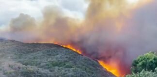 EE. UU.: fuertes vientos avivan el fuego en Los Ángeles y empeoran la emergencia