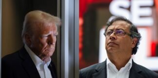 Trump contra Petro: lecciones de una brevísima pelea