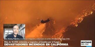 Incendios en California: ¿se pudo limitar la magnitud de la tragedia?