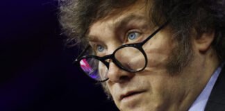 ¿Cómo afecta a Argentina el anuncio de Milei sobre la salida de la OMS?