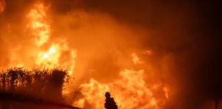 Incendios de Los Ángeles: ¿quién debería rendir cuentas por la gestión del desastre?