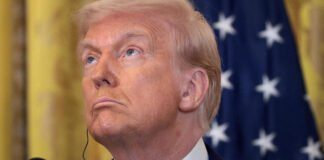 Trump desafía ahora a los BRICS, pero en este caso puede no salir victorioso