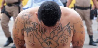 ¿Cuáles son los ocho grupos criminales latinoamericanos declarados "terroristas" por Trump?
