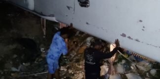 Accidente en Bayahíbe deja varios heridos; chofer admite exceso de velocidad