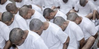 Trump reta a la Justicia y deporta a 238 presuntos miembros del Tren de Aragua como Enemigos Extranjeros