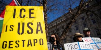Se paralizan deportaciones de dos estudiantes mientras persiste la persecución a universidades en EE. UU.