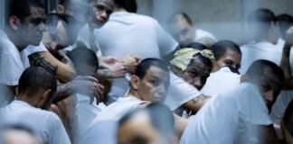 EE. UU. deporta a El Salvador a otros 17 presuntos miembros de pandillas, pese a orden judicial