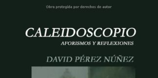 David Pérez Núñez escritor de pensamiento reflexivo