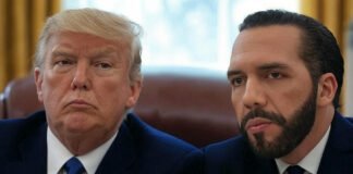 238 venezolanos arrojados al CECOT de Bukele: ¿criminales o chivos expiatorios del show Trump-Bukele?