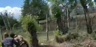 Haitiano en Situación Irregular Intenta Desarmar a Soldado en Dajabón