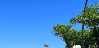 Retiran obstáculos en Playa Encuentro tras denuncia de Somos Pueblo por violación al acceso público