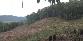 Comunidades denuncian impacto ambiental por construcción de presa
