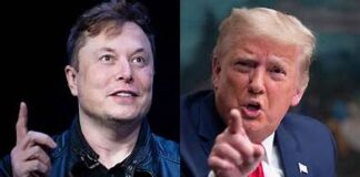 ¿El romance entre Trump y Elon Musk está llegando a su fin?