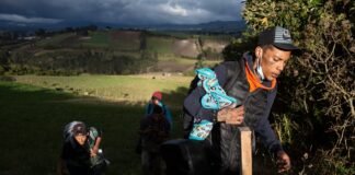 La migración venezolana en Ecuador es arma electoral entre Luisa González y Daniel Noboa