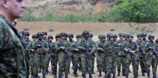Colombia: al menos una quincena de efectivos de seguridad fueron asesinados en 10 días