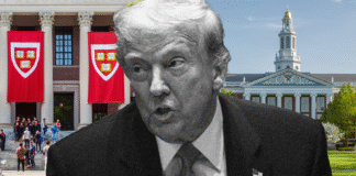 Por qué la ofensiva de 100 días de Trump podría conducir a una caída histórica