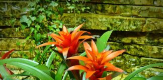 Ana Marchena: pasión por la naturaleza