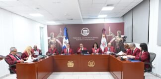 TC deja en estado de fallo doce expedientes de acción directa de inconstitucionalidad