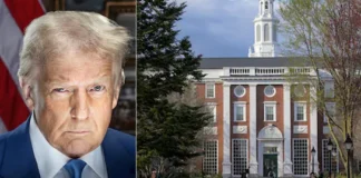 Trump vs. Harvard: La Cruzada del 31% y el Antisemitismo «Universal»