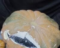 !AUYAMAS RELLENAS DE POLVO BLANCO!