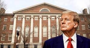 ¿HARVARD FOMENTA EL TERRORISMO… O EL PENSAMIENTO LIBRE?