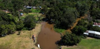 La deforestación en la Amazonía brasileña repunta al 92% e interrumpe su caída