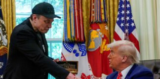 ¿Qué intereses se mueven detrás de la pelea entre Trump y Musk?