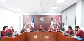 TC deja en estado de fallo diez expedientes de acción directa de inconstitucionalidad y aplaza conocimiento de uno
