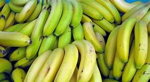 LA HISTORIA DE LA UNITED FRUIT COMPANY