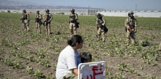 El ICE “está prácticamente secuestrando” migrantes, denuncia sindicato agrícola de EE. UU.