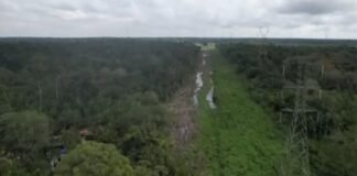 Brasil: Congreso aprueba flexibilización de licencias ambientales