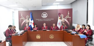 TC deja en estado de fallo ocho expedientes de acción directa de inconstitucionalidad