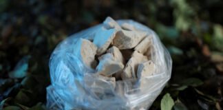 Colombia y la lucha contra las drogas: ¿qué sigue tras la descertificación condicionada?