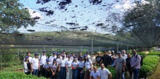 Seguros Monumental realiza Jornada de Reforestación en colaboración de Plan Sierra y Fondo Agua