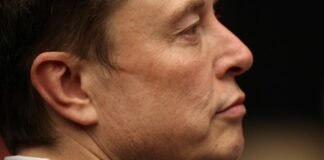 Wikipedia tiene rival: Musk lanza Grokipedia, su enciclopedia creada con inteligencia artificial
